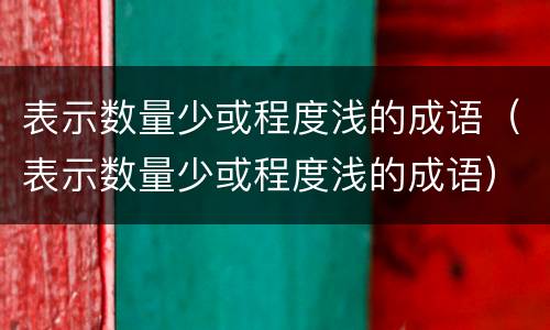 表示数量少或程度浅的成语（表示数量少或程度浅的成语）