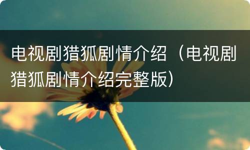 电视剧猎狐剧情介绍（电视剧猎狐剧情介绍完整版）