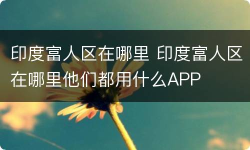 印度富人区在哪里 印度富人区在哪里他们都用什么APP