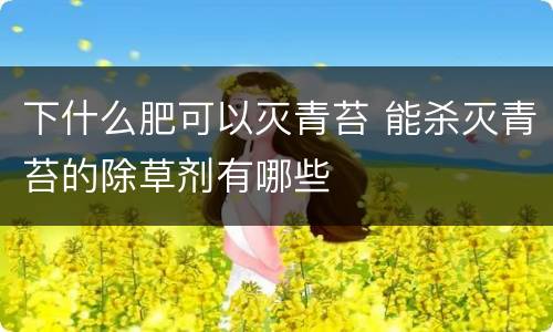 下什么肥可以灭青苔 能杀灭青苔的除草剂有哪些