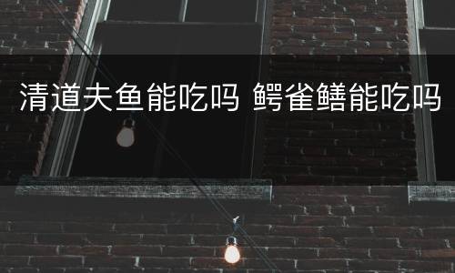 清道夫鱼能吃吗 鳄雀鳝能吃吗