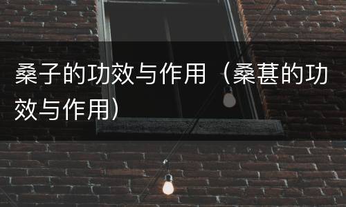 桑子的功效与作用（桑葚的功效与作用）