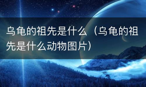 乌龟的祖先是什么（乌龟的祖先是什么动物图片）