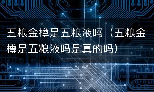五粮金樽是五粮液吗（五粮金樽是五粮液吗是真的吗）