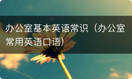 办公室基本英语常识（办公室常用英语口语）