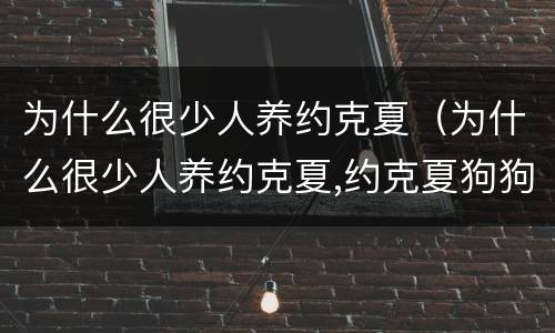 为什么很少人养约克夏（为什么很少人养约克夏,约克夏狗狗图片）
