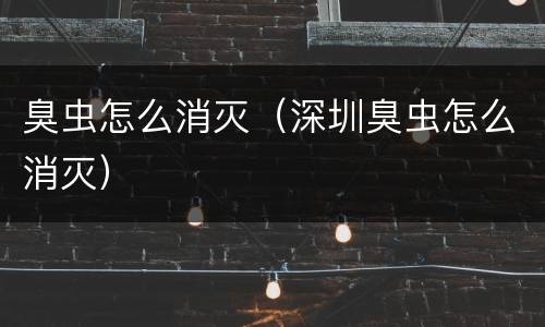 臭虫怎么消灭（深圳臭虫怎么消灭）