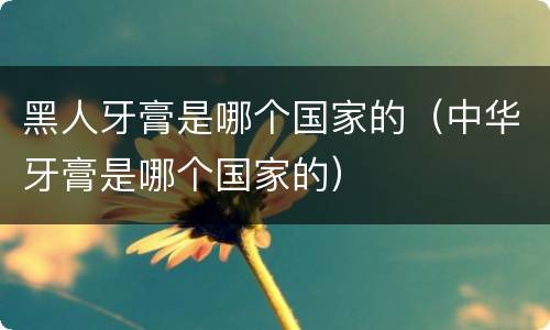黑人牙膏是哪个国家的（中华牙膏是哪个国家的）