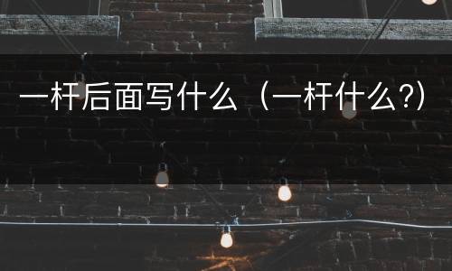 一杆后面写什么（一杆什么?）
