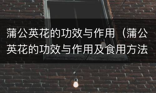 蒲公英花的功效与作用（蒲公英花的功效与作用及食用方法）