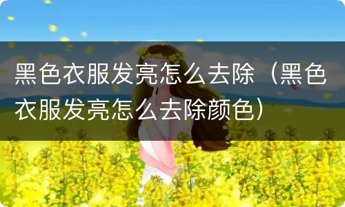 黑色衣服发亮怎么去除（黑色衣服发亮怎么去除颜色）
