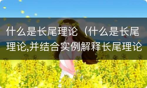 什么是长尾理论（什么是长尾理论,并结合实例解释长尾理论的三个特点）