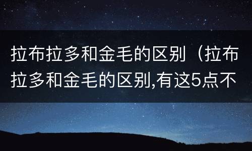 拉布拉多和金毛的区别（拉布拉多和金毛的区别,有这5点不同!）