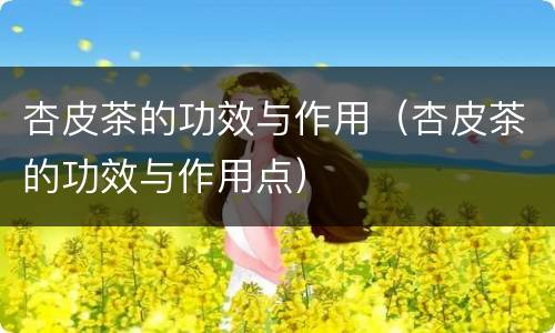 杏皮茶的功效与作用（杏皮茶的功效与作用点）