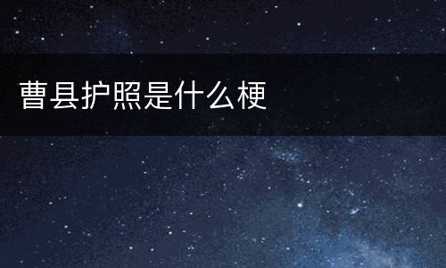 曹县护照是什么梗