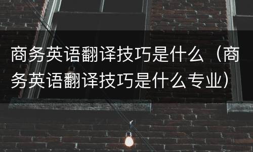 商务英语翻译技巧是什么（商务英语翻译技巧是什么专业）