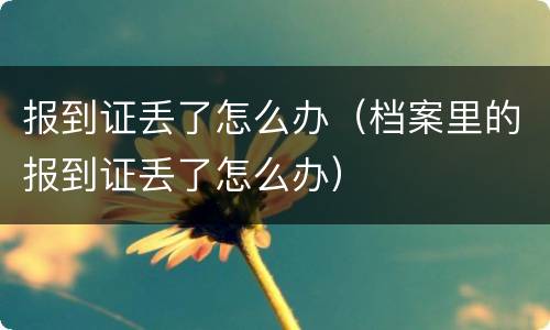 报到证丢了怎么办（档案里的报到证丢了怎么办）