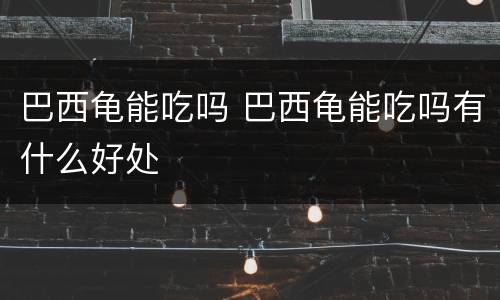 巴西龟能吃吗 巴西龟能吃吗有什么好处