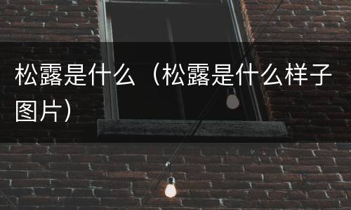 松露是什么（松露是什么样子图片）
