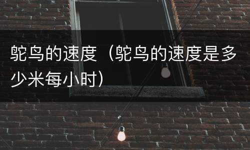 鸵鸟的速度（鸵鸟的速度是多少米每小时）