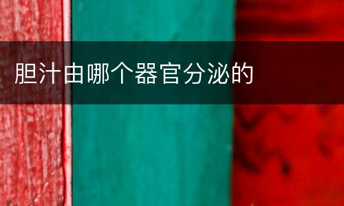 胆汁由哪个器官分泌的