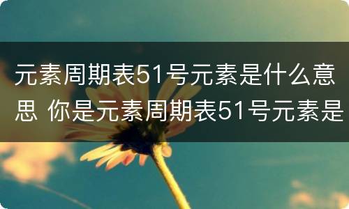 元素周期表51号元素是什么意思 你是元素周期表51号元素是什么意思