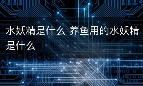 水妖精是什么 养鱼用的水妖精是什么
