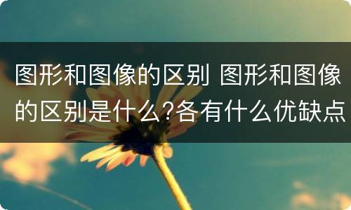 图形和图像的区别 图形和图像的区别是什么?各有什么优缺点