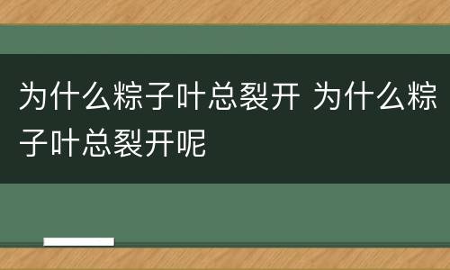 为什么粽子叶总裂开 为什么粽子叶总裂开呢