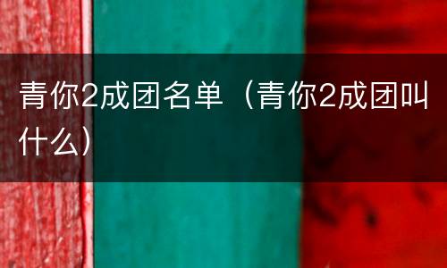 青你2成团名单（青你2成团叫什么）