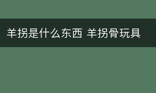 羊拐是什么东西 羊拐骨玩具
