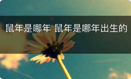 鼠年是哪年 鼠年是哪年出生的