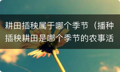 耕田插秧属于哪个季节（播种插秧耕田是哪个季节的农事活动）