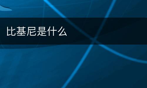 比基尼是什么