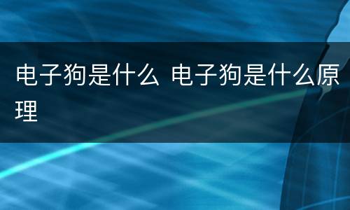电子狗是什么 电子狗是什么原理