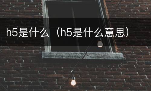 h5是什么（h5是什么意思）