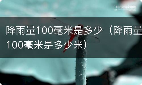 降雨量100毫米是多少（降雨量100毫米是多少米）