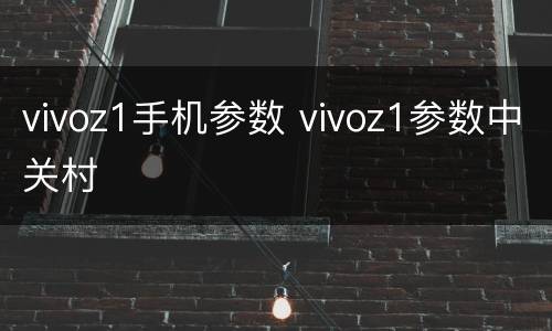 vivoz1手机参数 vivoz1参数中关村
