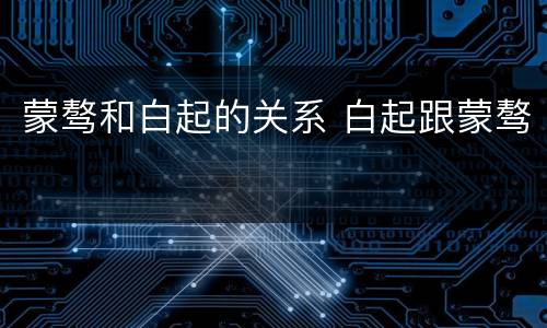 蒙骜和白起的关系 白起跟蒙骜