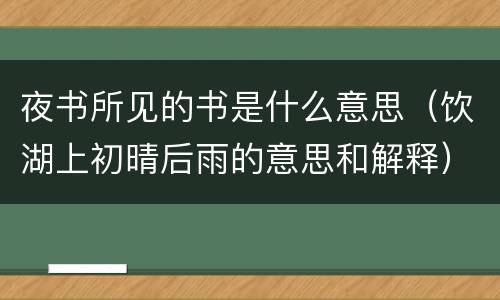 夜书所见的书是什么意思（饮湖上初晴后雨的意思和解释）