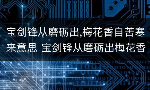 宝剑锋从磨砺出,梅花香自苦寒来意思 宝剑锋从磨砺出梅花香自苦寒来意思相近的诗