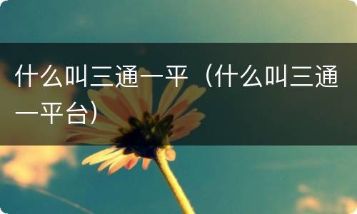 什么叫三通一平（什么叫三通一平台）