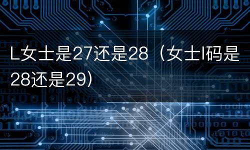 L女士是27还是28（女士l码是28还是29）