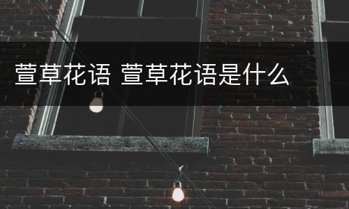 萱草花语 萱草花语是什么