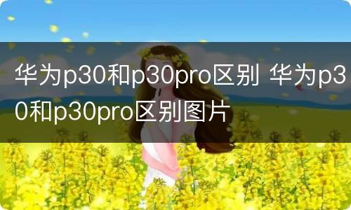 华为p30和p30pro区别 华为p30和p30pro区别图片