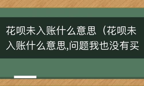 花呗未入账什么意思（花呗未入账什么意思,问题我也没有买）