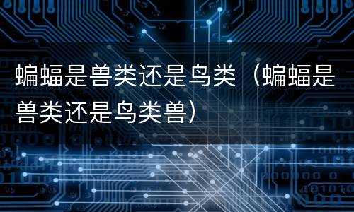蝙蝠是兽类还是鸟类（蝙蝠是兽类还是鸟类兽）