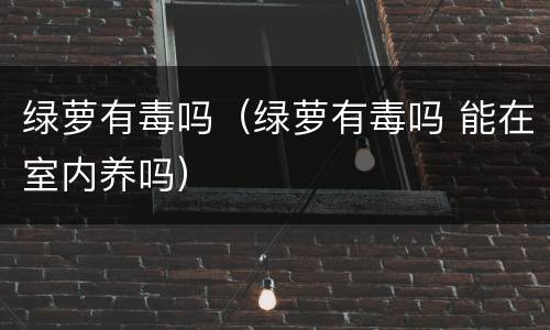 绿萝有毒吗（绿萝有毒吗 能在室内养吗）