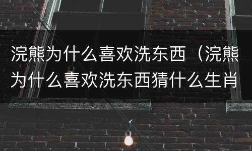 浣熊为什么喜欢洗东西（浣熊为什么喜欢洗东西猜什么生肖呢）