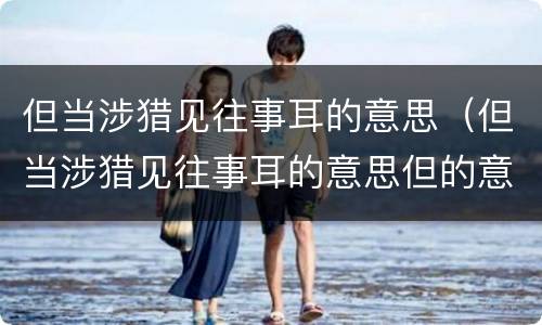 但当涉猎见往事耳的意思（但当涉猎见往事耳的意思但的意思）
